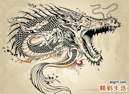 晚上睡觉梦见龙，古老象征与现代解读的交织