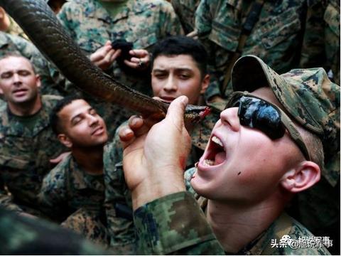 梦见俩条蛇金色的咬自己为什么，探索梦境中的神秘寓意与心理解析