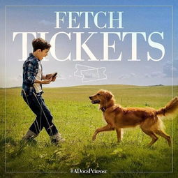 梦回犬生轮回曲，解析梦到狗死了又生之奇幻梦境