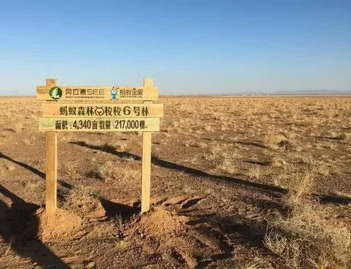 梦境启示录，解析梦到去地里掰玉米棒子回来吃好不的深层含义
