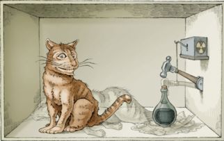 梦境启示录，梦见猫与蛇搏斗，猫之胜利背后的深层寓意
