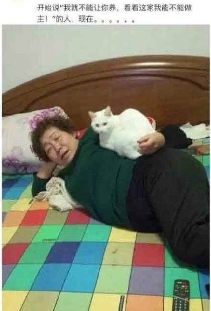 梦境解析，在家搂着儿子睡觉，窗外飞来横砖砸破儿子头
