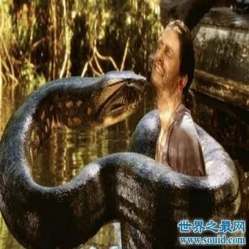 解梦，梦见大莽蛇并救了它——探寻梦境背后的深层含义