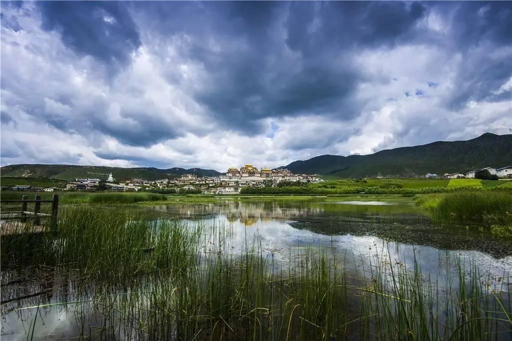梦境交织，我与妻子共赴蛇之幻境