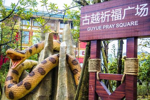 做梦梦到蛇会怎么样，解读梦境中的神秘符号