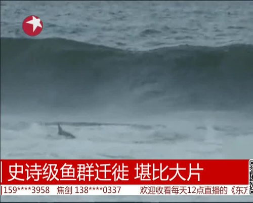 梦境中的生死瞬间，从水中获救的启示