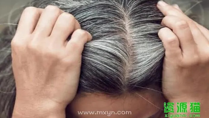 已婚女人梦见头发全白，解读梦境背后的深层含义与心理启示