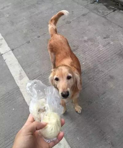 梦见死了人了，探索梦境背后的深层含义与心理解析