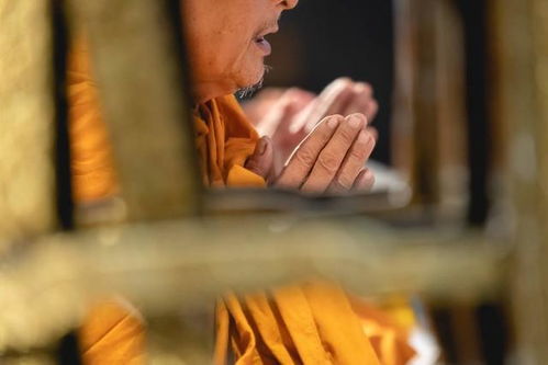 梦见死去的人给我算命，探索梦境背后的深层含义