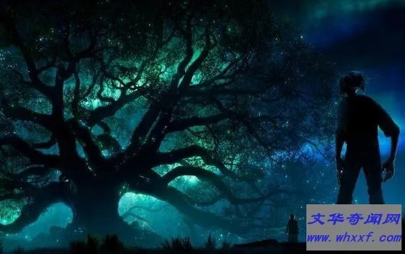梦境中的蛟龙与树的启示，一场关于自我救赎与生命循环的寓言