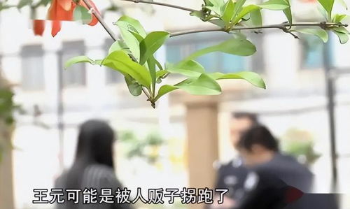 梦见别人给了我一大把大瓜子好大，寓意与解析