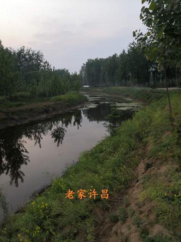 梦境解析，发大水与挣扎中的自我救赎