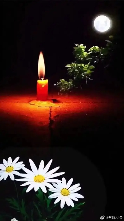 梦境解析，重温旧时光，梦见昔日恩师