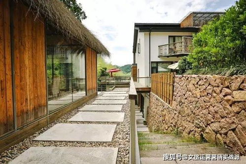 从梦境废墟中重生，梦见自家房屋倒塌却安然无恙的深层寓意
