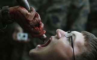 梦境解析，梦见自己杀死一条黑白的大蛇和一条普通小蛇——探索深层心理与象征意义