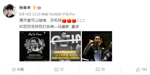梦境交织，怀孕与逝世的意外相遇