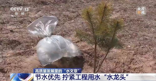 梦见涨大水还在水里洗澡，探索梦境背后的深层含义