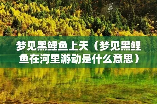 梦见很多黑色的鱼在追河里的人，探索梦境背后的深层含义
