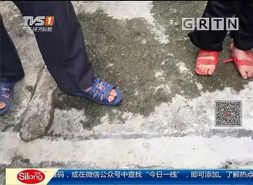 梦见洪水快来我救村民，一场梦境中的英勇救援与心灵启示