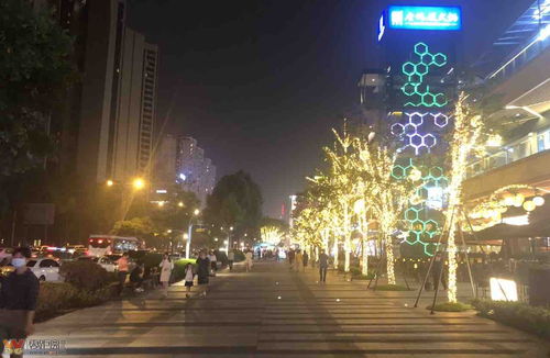 梦见粪从粪池流出来挡了路，解读梦境背后的深层含义