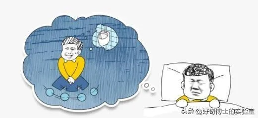 梦境中的惊魂一刻，梦见我姥掉入我家厕所里的深层解析
