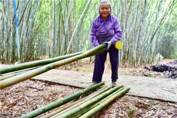 梦见去世父亲言砍竹，探寻梦境深处的家族传承与心灵慰藉