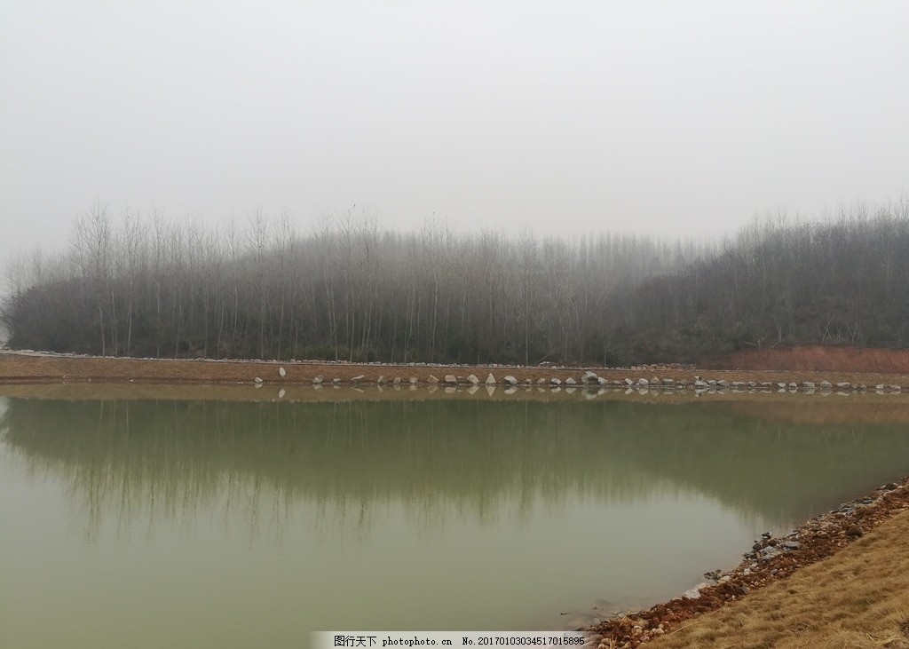 孕妇梦见乌龟，探索梦境背后的深层含义