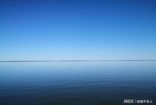 梦见自己一个人在一条新船上，探索梦境的深层含义与启示