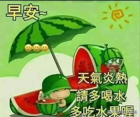梦境解析，没有甲的乌龟在梦中的含义