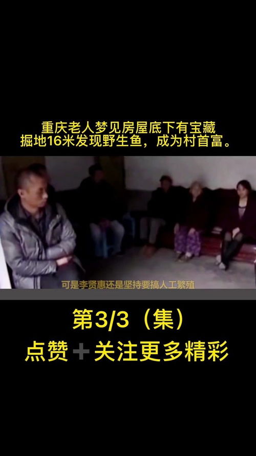 最近老梦见前男友，梦境背后的深层含义与心理解析