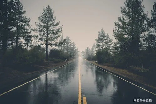 梦境解析，梦见大风大雨断桥断路的深层含义与心理暗示