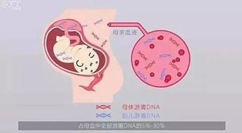 孕妇梦见与人打架后流产，梦境背后的深层预示与心理解析