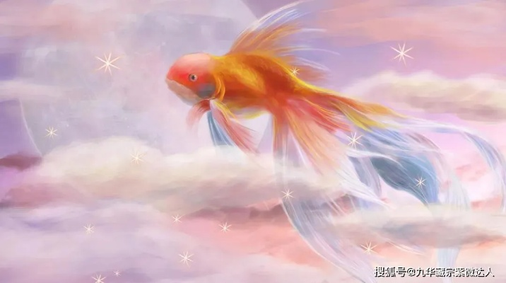 梦境的奥秘，朋友赠鱼与甲鱼，寓意深远的心灵启示