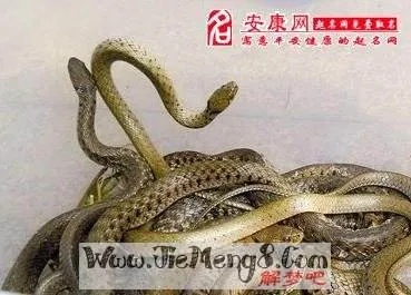 梦境的启示，梦见蛇与婴儿喂奶呛死之谜
