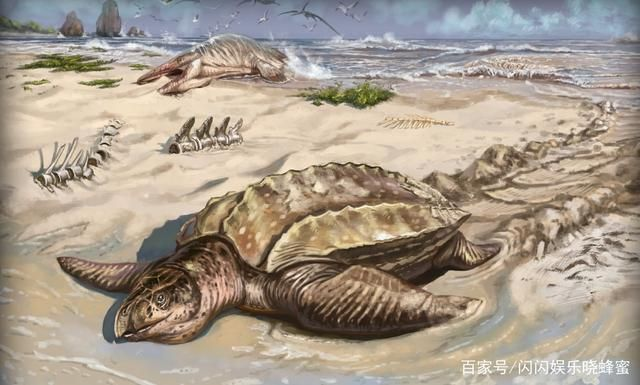 梦境解析，在巨大冰河中的神秘大乌龟