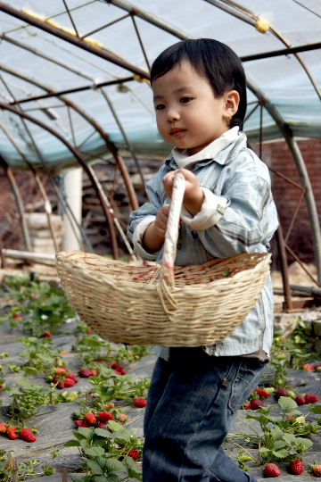 梦见孩子没有够天气就生啦，解读梦境中的预兆与启示
