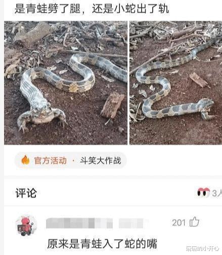 2020年9月2日梦境解析，小蛇缠绕腿间，寓意何解？