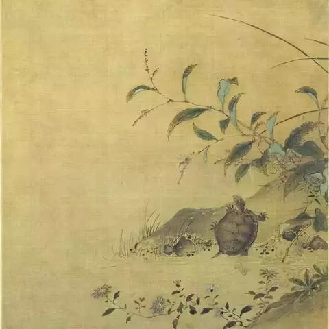 梦到乌龟互相咬，解读梦境中的隐喻与启示