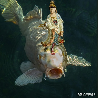 梦境奇观，红色鱼化观音，水中打坐之谜