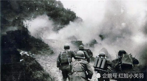 梦战狼群，恐惧与反击中的自我觉醒