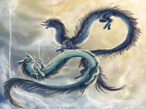 昨晚梦见龙了，探索梦境中的神秘符号与心灵启示