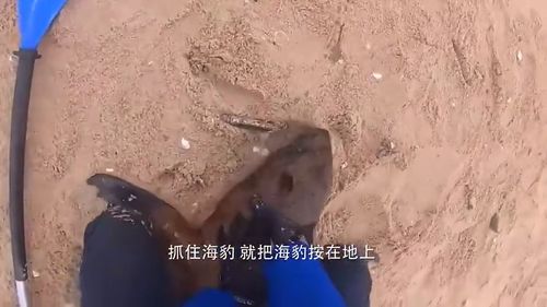 男人梦见家里的地上到处都是屎，周公解梦揭示深层含义