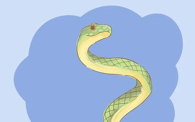 梦境的双面镜像，死蛇与双尾蛇的深层解析