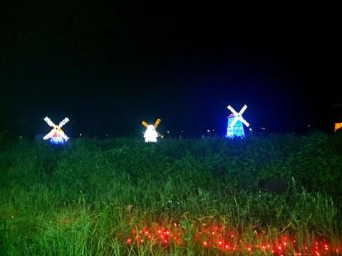 梦境的色彩，探索梦见买牛奶蛋糕穿红色高跟鞋的深层含义