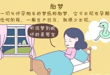 解读梦境，昨天晚上同房以后夜里梦到蛇，是否预示着怀孕？