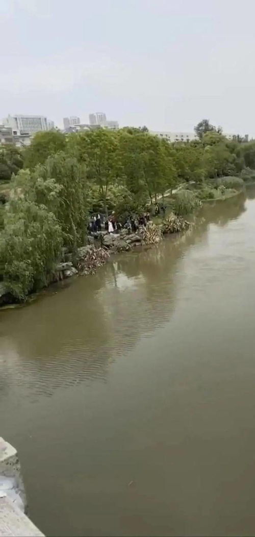 梦境的启示，解析梦中家中老人与小孩非正常死亡的深层含义