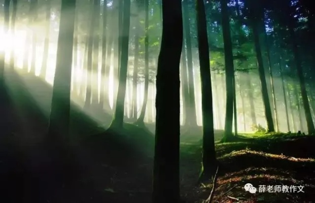 周公解梦，屋内人语纷扰，绿意盎然中的误会与心灵净化