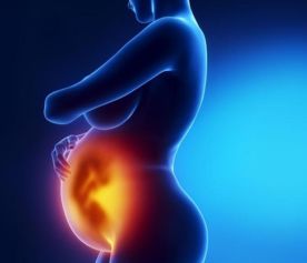 孕妇怀孕30多天梦境解析，窗子涌入鱼群，寓意与解读