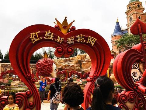 梦境解析，抓住猫的二只脚，寓意与解析
