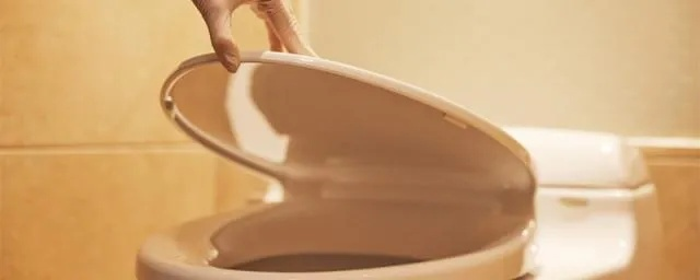 梦见自己拉大便还用水冲的干干净净还在厕所洗衣服，探索梦境背后的深层含义